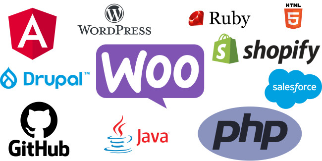 website development companies in Kenya 2026